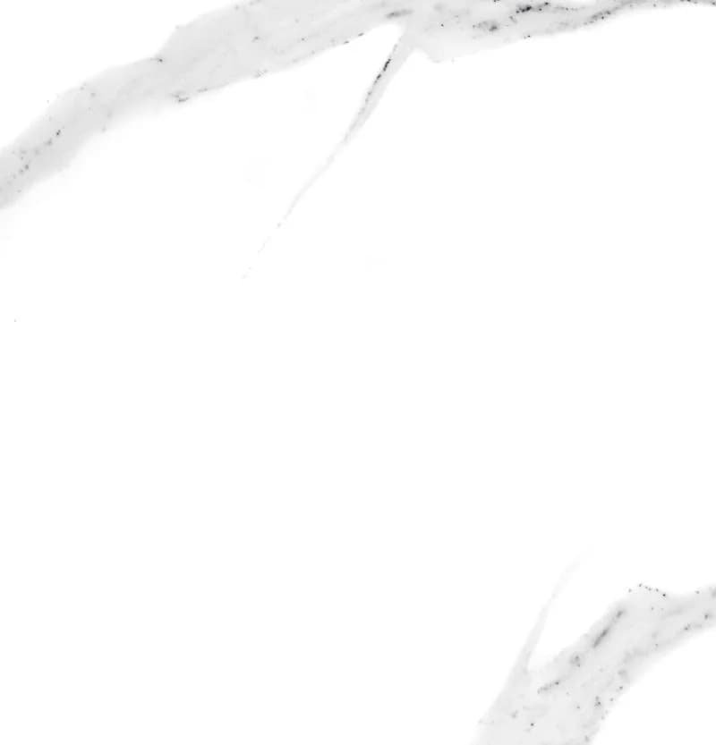 Плитка керам. ABSOLUTE CARRARA 60х60 (підлога)